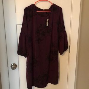 Ann Taylor Dress